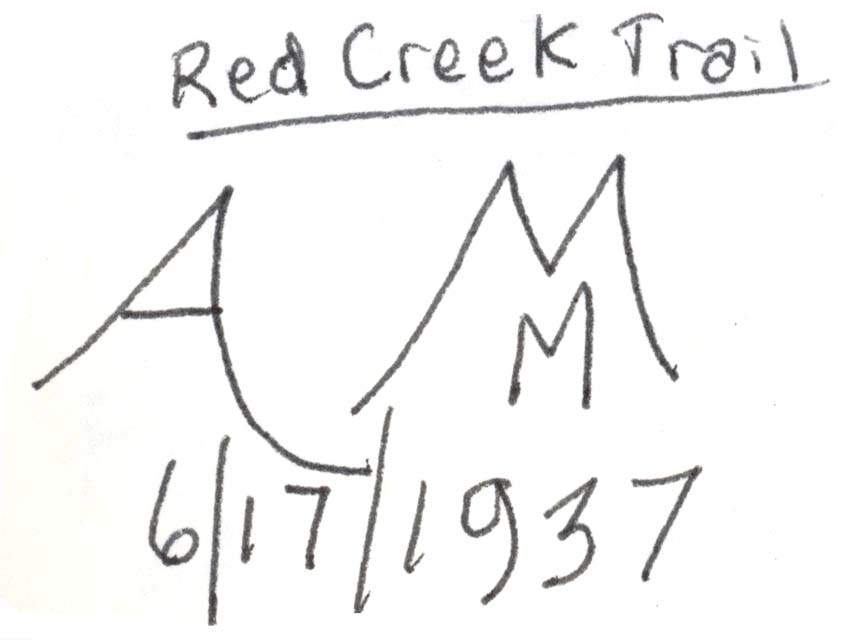 San Juan Mountains arborglyph illustration by Esther Greenfield