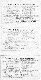 Oath Cards Named