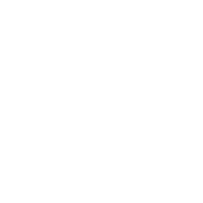 Carnegie Research badge for 2024-25
