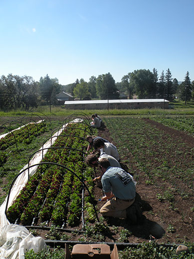Crews working in Gardens