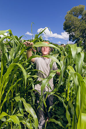 Lorin Whitaker in the corn field