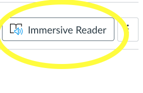 Immersive Reader is one of the accessibility tools built into Canvas.