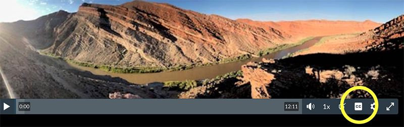 Create and watch videos in Canvas Studio where captioning is a built-in feature.