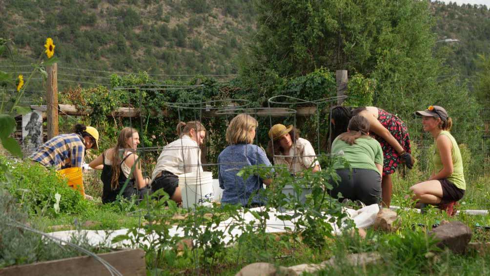 Small group seated outdoors in a garden area, gathered around raised planting beds with greenery, trees, and hills visible in the background.
