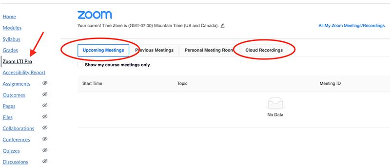 Screenshot of your Zoom account dashboard