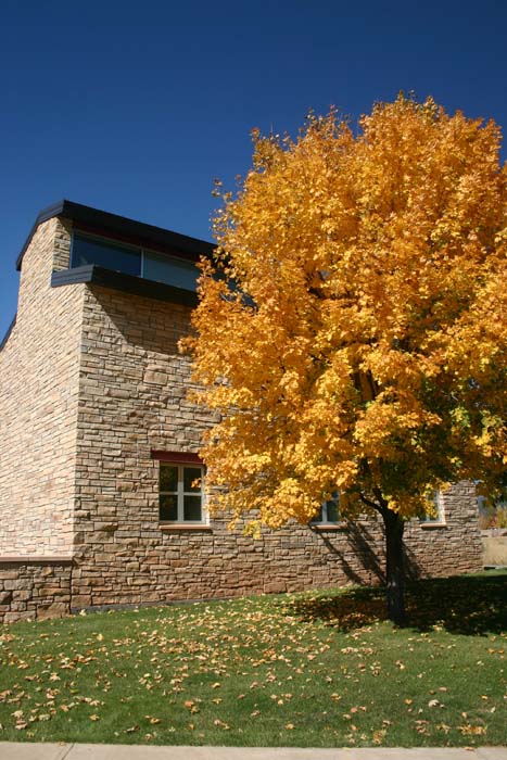 campus buildings in fall